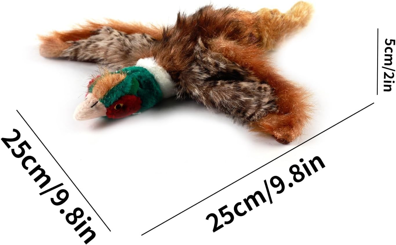 Pet Accessory