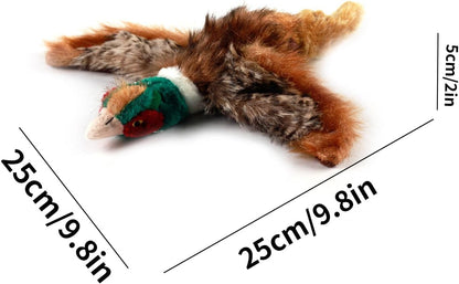 Pet Accessory