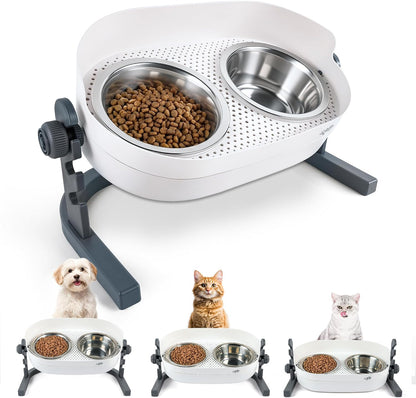 Pet Accessory