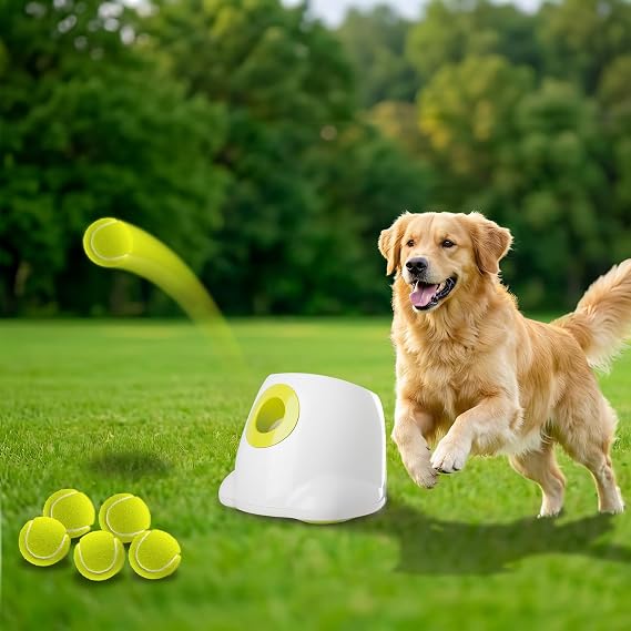 Automatic Ball Launcher for Dogs, Interactive Tennis Ball Outdoor Thrower for Medium to Large Dogs, Rechargeable Dog Toy, 6 Balls Included