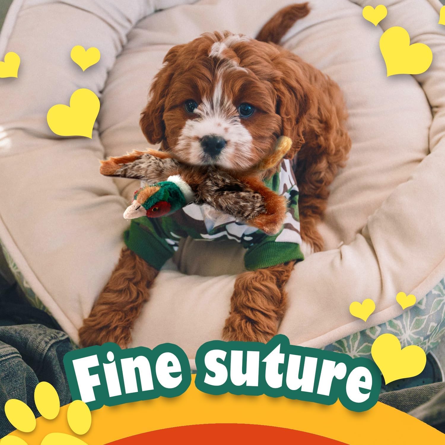 Pet Accessory