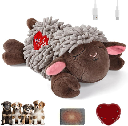 Pet Accessory