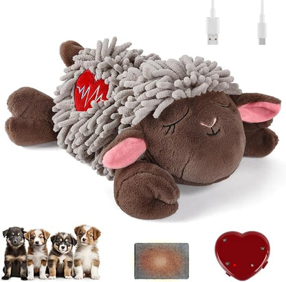 Pet Accessory