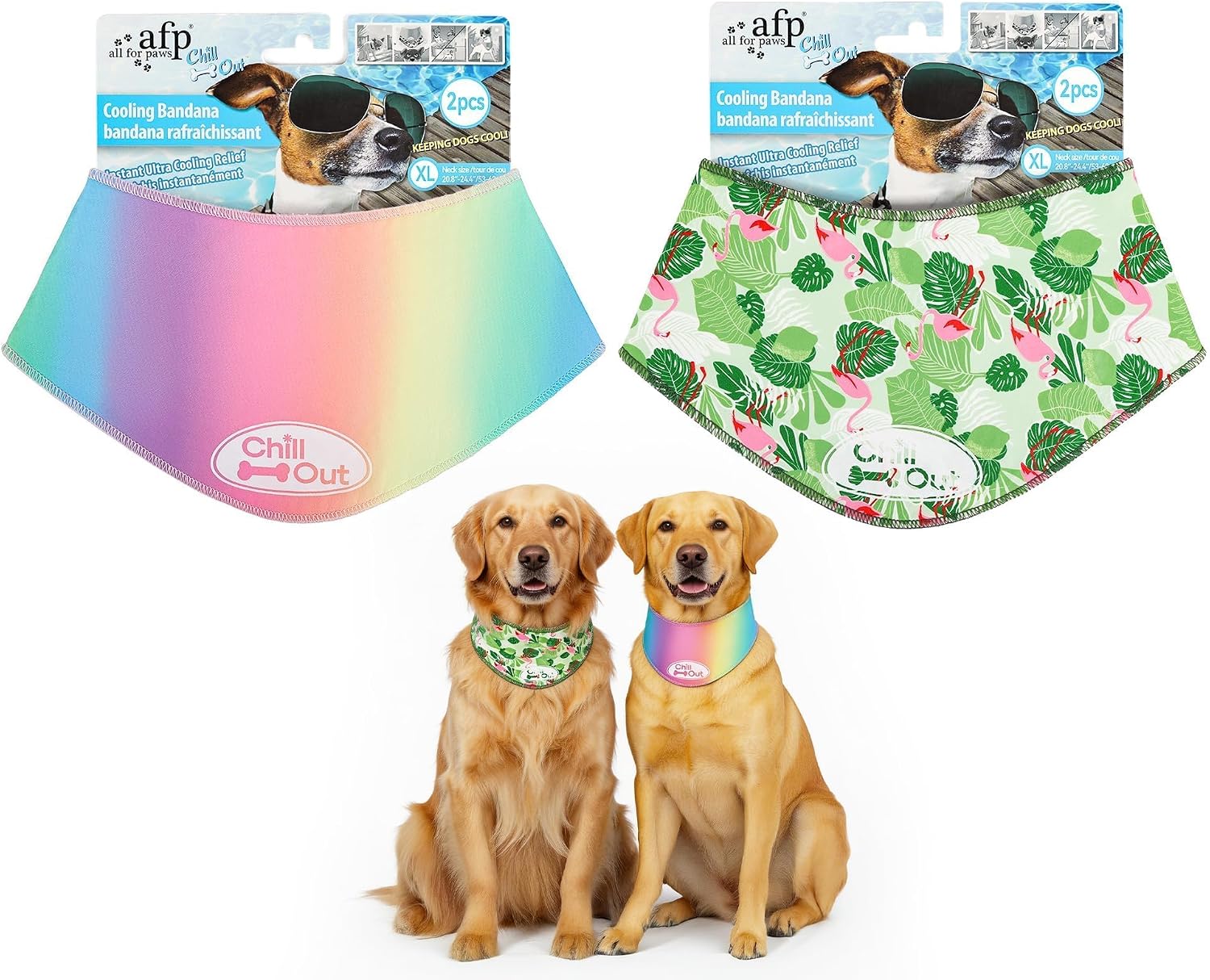 Pet Accessory