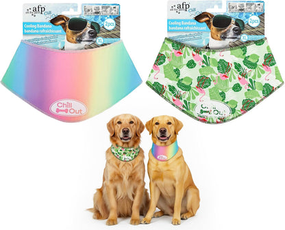 Pet Accessory