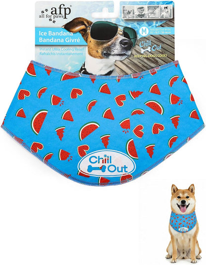 Pet Accessory