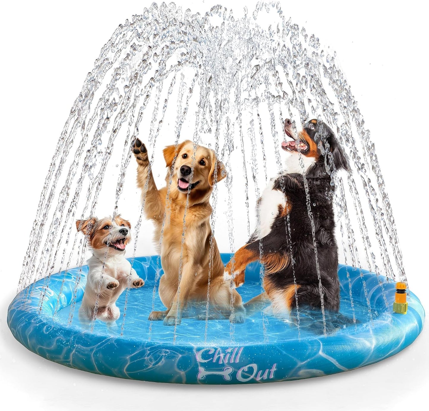 Pet Accessory