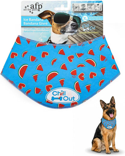 Pet Accessory