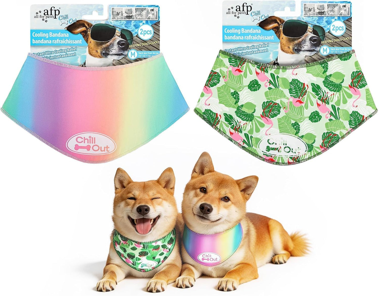 Pet Accessory