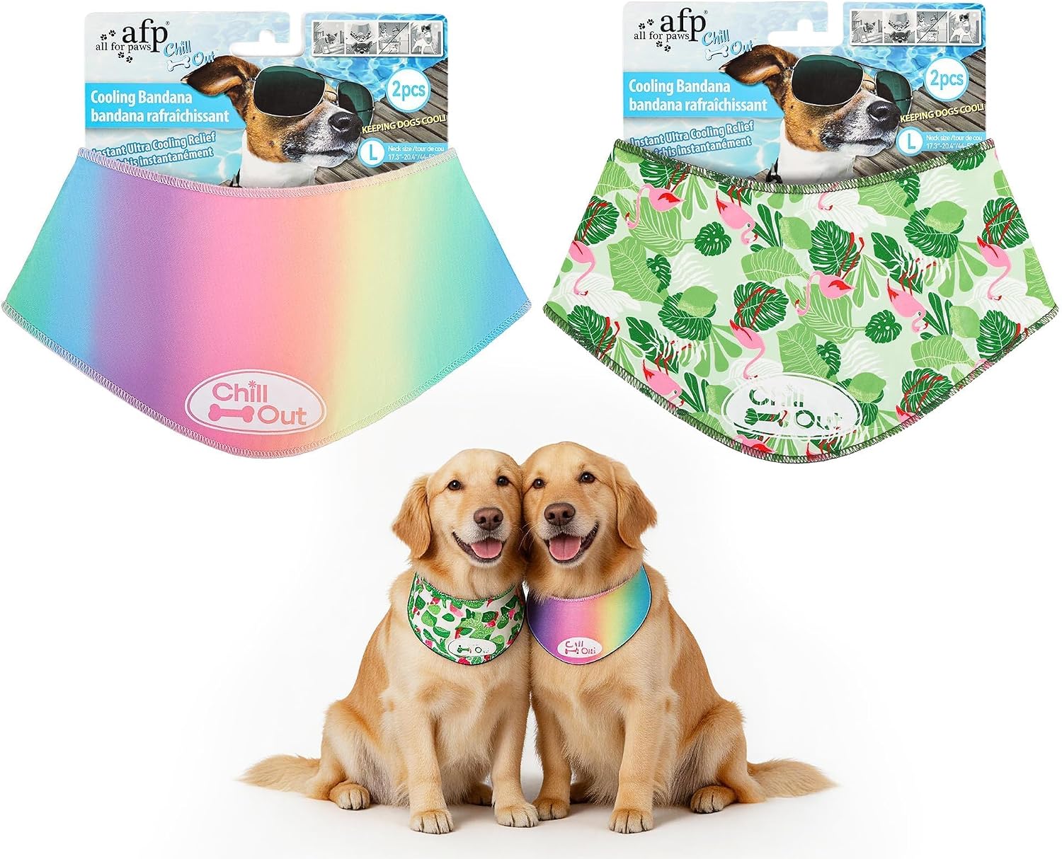 Pet Accessory