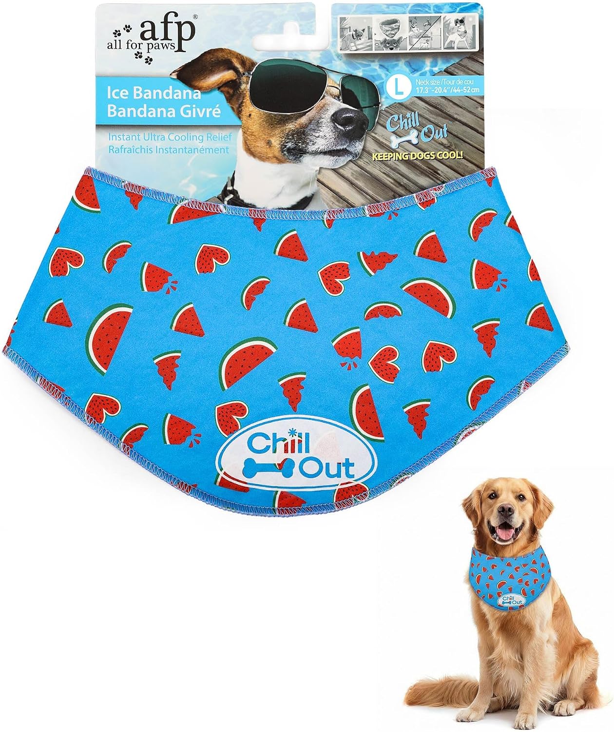 Pet Accessory
