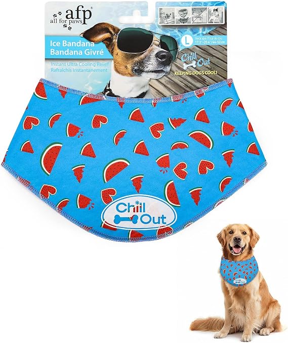 Pet Accessory
