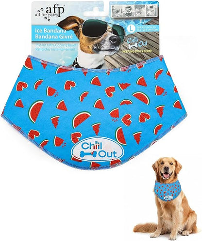 Pet Accessory